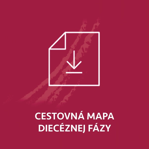 Cestovná mapa diecéznej fázy