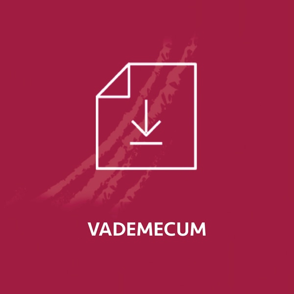 Vademecum